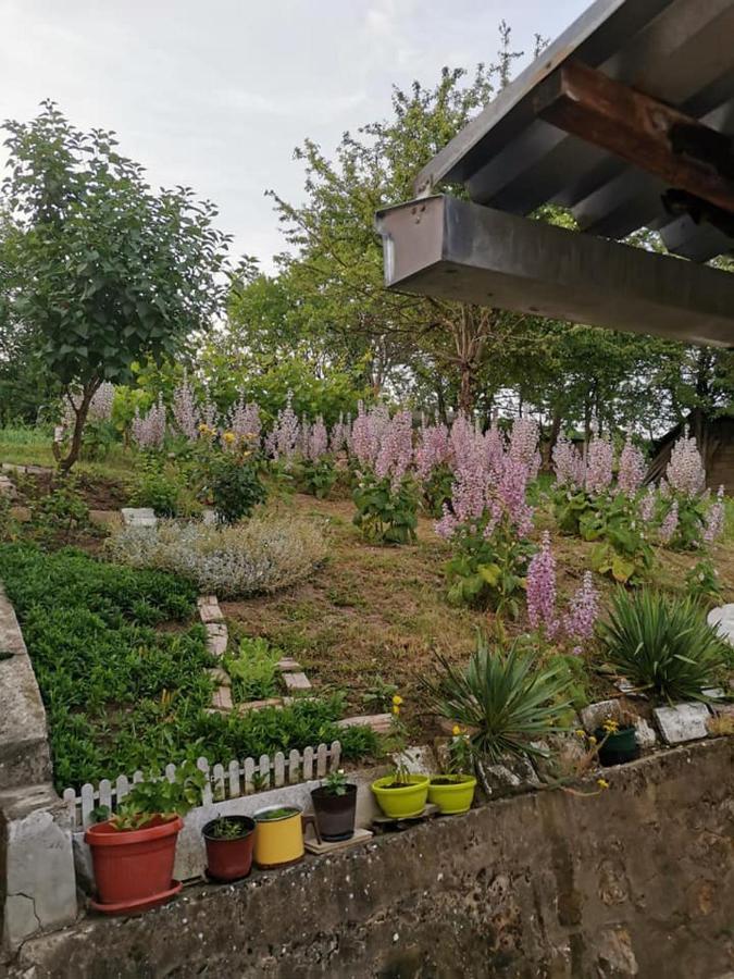 Kod Bake Apartment Vrdnik